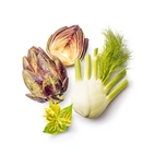 Kronärtskock complex